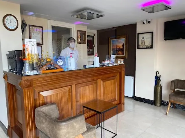 新佩拉艺术酒店 酒店 3*